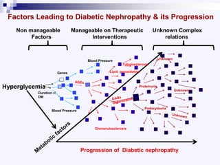 Factors Leading to Diabetic Nephropathy & its Progression
Duration of
DM
Progression of Diabetic nephropathy
Hyperglycemia
Non manageable Manageable on Therapeutic Unknown Complex
Factors Interventions relations
Blood Pressure
Genes Lipid peroxidation
Glomerulosclerosis
Tubulosclerosis
Proteinuria
Podocytouria
Unknown
Unknown
Blood Pressure
 