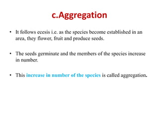 best ever ppt on ecological succession by nagesh | PPTX