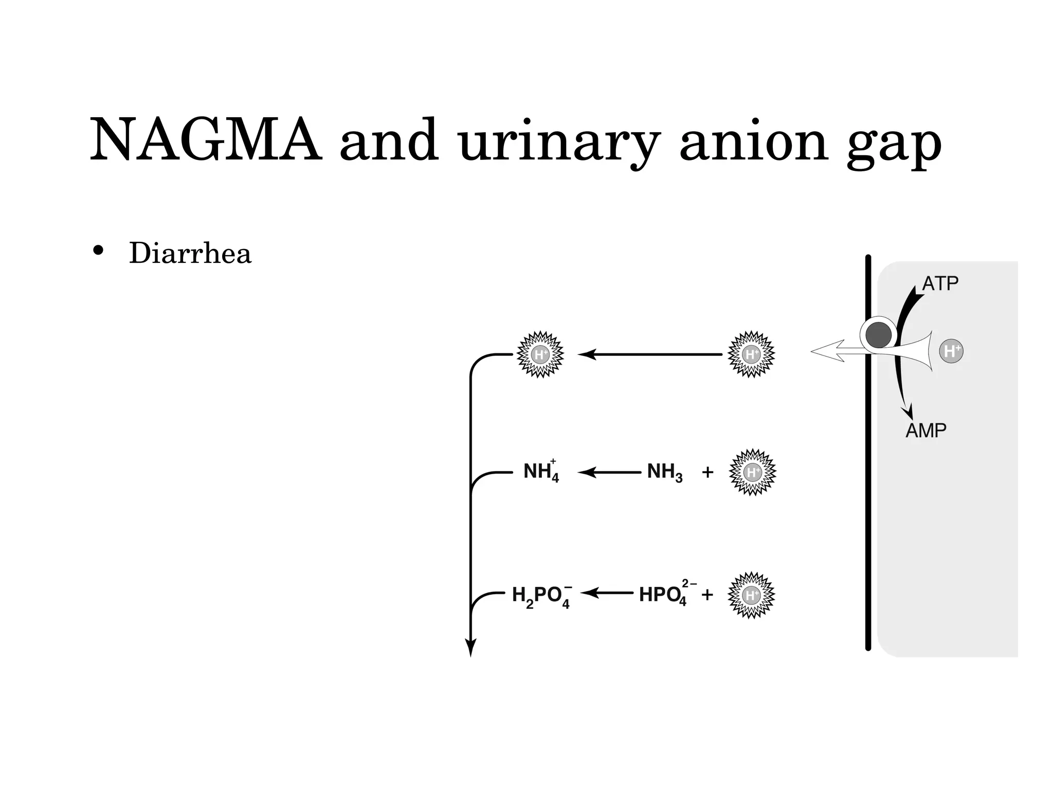 Non-anion gap Metabolic Acidosis (NAGMA) | PPT
