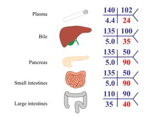 Nagma Algorithm Non-anion gap Metabolic Acidosis (NAGMA) | PPT