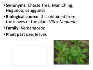 •Synonyms: Chaste Tree, Man Ching,
Negundo, Lenggundi
•Biological source: It is obtained from
the leaves of the plant Vitex Negundo.
•Family: Verbenaceae
•Plant part use: leaves
 