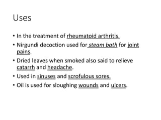 Uses
• In the treatment of rheumatoid arthritis.
• Nirgundi decoction used for steam bath for joint
pains.
• Dried leaves when smoked also said to relieve
catarrh and headache.
• Used in sinuses and scrofulous sores.
• Oil is used for sloughing wounds and ulcers.
 