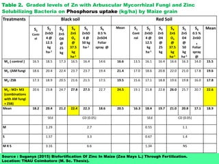 Table 2. Graded levels of Zn with Arbuscular Mycorrhizal Fungi and Zinc
Solubilizing Bacteria on Phosphorus uptake (kg/ha) by Maize grain
Treatments Black soil Red Soil
S1
Contr
ol
S2
ZnSO
4 @
12.5
kg
ha-1
S3
ZnS
O4
@
25
kg
S4
ZnS
O4
@
37.5
kg
ha-1
S5
ZnSO
4 @
50 kg
ha-1
S6
0.5 %
ZnSO4
Foliar
spray @
Mean S1
Cont
rol
S2
ZnSO
4 @
12.5
kg
ha-1
S3
ZnS
O4
@
25
kg
S4
ZnS
O4
@
37.5
kg
ha-1
S5
ZnS
O4
@
50
kg
ha-1
S6
0.5 %
ZnSO
4
Foliar
spray
@
Mean
M1: ( control ) 16.5 18.5 17.3 16.5 16.4 14.6 16.6 13.5 16.1 16.4 16.6 16.3 14.0 15.5
M2 :(AM fungi 18.6 20.4 22.4 23.7 23.7 19.4 21.4 17.0 18.6 20.8 22.0 21.0 17.8 19.6
M3: ZSB 17.3 18.9 20.5 21.6 21.5 17.5 19.5 15.6 17.1 18.8 19.6 19.8 16.0 17.8
M4 : M2+ M3
(combinations
with AM fungi
+ ZSB)
20.6 23.8 24.7 27.8 27.5 22.7 24.5 19.1 21.8 22.8 26.0 25.7 20.7 22.6
Mean 18.2 20.4 21.2 22.4 22.3 18.6 20.5 `16.3 18.4 19.7 21.0 20.8 17.1 18.9
SEd CD (0.05) SEd CD (0.05)
M 1.29 2.7 0.55 1.1
S 1.57 3.3 0.67 1.4
M X S 3.16 6.6 1.34 NS
Source : Suganya (2015) Biofortification Of Zinc In Maize (Zea Mays L.) Through Fertilization.
Location: TNAU Coimbatore (M. Sc. Thesis).
 