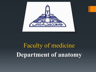 Faculty of medicine
Department of anatomy
1
 