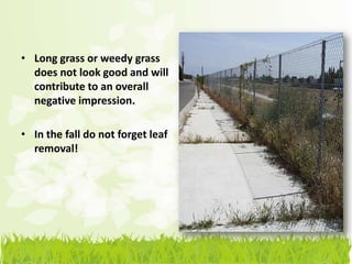 • Long grass or weedy grass
  does not look good and will
  contribute to an overall
  negative impression.

• In the fall do not forget leaf
  removal!
 