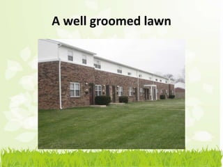 A well groomed lawn
 