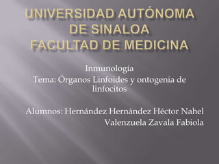 Inmunología
Tema: Órganos Linfoides y ontogenia de
linfocitos
Alumnos: Hernández Hernández Héctor Nahel
Valenzuela Zavala Fabiola
 