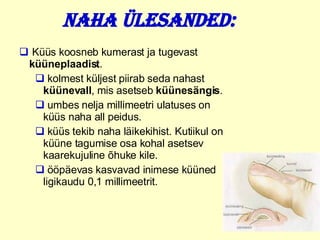 Naha ülesanded: Küüs koosneb kumerast ja tugevast  küüneplaadist . kolmest küljest piirab  seda  nahast  küünevall ,  mis  asetseb  küünesängis . u mbes nelja millimeetri ulatuses on küüs naha all peidus. k üüs tekib naha läikekihist. Kutiikul on küüne tagumise osa kohal asetsev kaarekujuline õhuke kile.  ö öpäevas kasvavad inimese küüned ligikaudu 0,1 millimeetrit. 