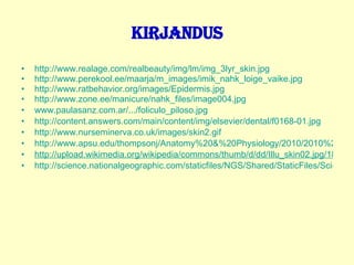 Kirjandus http://www.realage.com/realbeauty/img/lm/img_3lyr_skin.jpg http://www.perekool.ee/maarja/m_images/imik_nahk_loige_vaike.jpg http://www.ratbehavior.org/images/Epidermis.jpg http://www.zone.ee/manicure/nahk_files/image004.jpg www.paulasanz.com.ar/.../foliculo_piloso.jpg http://content.answers.com/main/content/img/elsevier/dental/f0168-01.jpg http://www.nurseminerva.co.uk/images/skin2.gif http://www.apsu.edu/thompsonj/Anatomy%20&%20Physiology/2010/2010%20Exam%20Reviews/Exam%202%20Review/dermis_diagram.gif http://upload.wikimedia.org/wikipedia/commons/thumb/d/dd/Illu_skin02.jpg/180px-Illu_skin02.jpg http://science.nationalgeographic.com/staticfiles/NGS/Shared/StaticFiles/Science/Images/Content/epidermis-sb3849-lw.jpg 