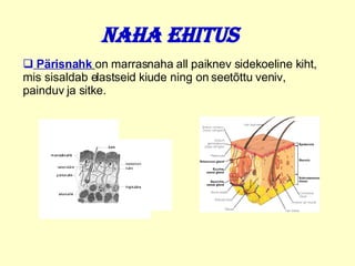 Naha ehitus Pärisnahk   on marrasnaha all paiknev sidekoeline kih t , mis sisaldab elastseid kiude ning on seetõttu veniv, painduv ja sitke.  