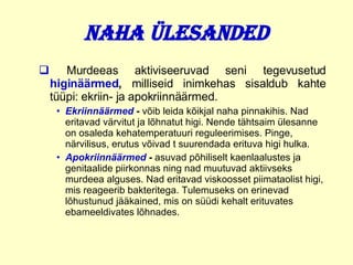 Naha ülesanded Murdeeas aktiviseeruvad seni tegevusetud  higinäärmed ,  milliseid inimkehas sisaldub kahte tüüpi: ekriin- ja apokriinnäärmed. Ekriinnäärmed   -   võib leida kõikjal naha pinnakihis. Nad eritavad   värvitut ja lõhnatut higi. Nende tähtsaim ülesanne on osaleda kehatemperatuuri reguleerimises . P inge, närvilisus, erutus võivad t suurendada erituva higi hulka. Apokriinnäärmed   -   asuvad põhiliselt kaenlaalustes ja genitaalide piirkonnas ning nad muutuvad aktiivseks murdeea alguses.  Nad  eritavad viskoosset piimataolist higi, mis reageerib bakteritega. Tulemuseks on erinevad lõhustunud jääkained, mis on süüdi kehalt erituvates ebameeldivates lõhnades. 