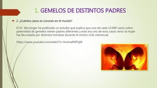1. GEMELOS DE DISTINTOS PADRES
 2. ¿Cuántos casos se conocen en el mundo?
El Dr. Wurzinger ha publicado un estudio que explica que uno de cada 13.000 casos sobre
paternidad de gemelos tienen padres diferentes y este era uno de esos casos raros: la mujer
fue fecundada por distintos hombres durante el mismo ciclo menstrual.
https://www.youtube.com/watch?v=knzmaXNPzjM
 