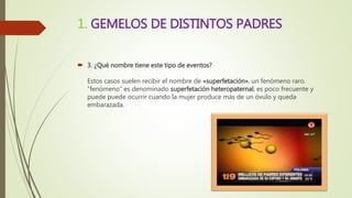 1. GEMELOS DE DISTINTOS PADRES
 3. ¿Qué nombre tiene este tipo de eventos?
Estos casos suelen recibir el nombre de «superfetación», un fenómeno raro.
“fenómeno” es denominado superfetación heteropaternal, es poco frecuente y
puede puede ocurrir cuando la mujer produce más de un óvulo y queda
embarazada.
 