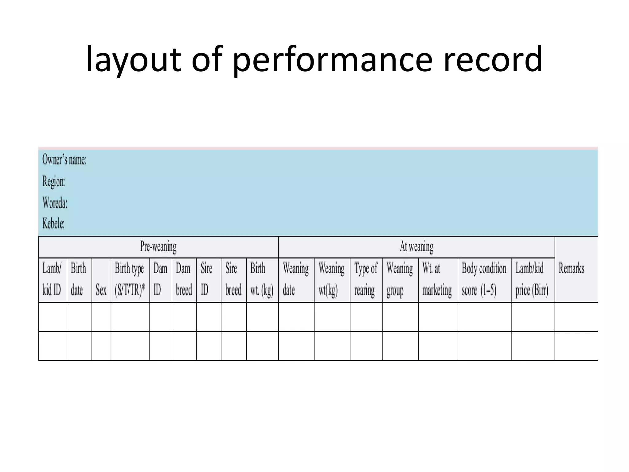 layout of performance record
 