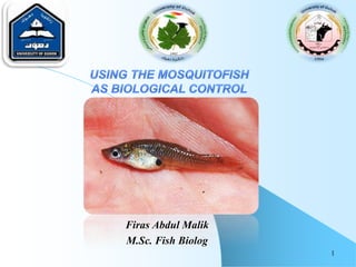 1
Firas Abdul Malik
M.Sc. Fish Biolog
 