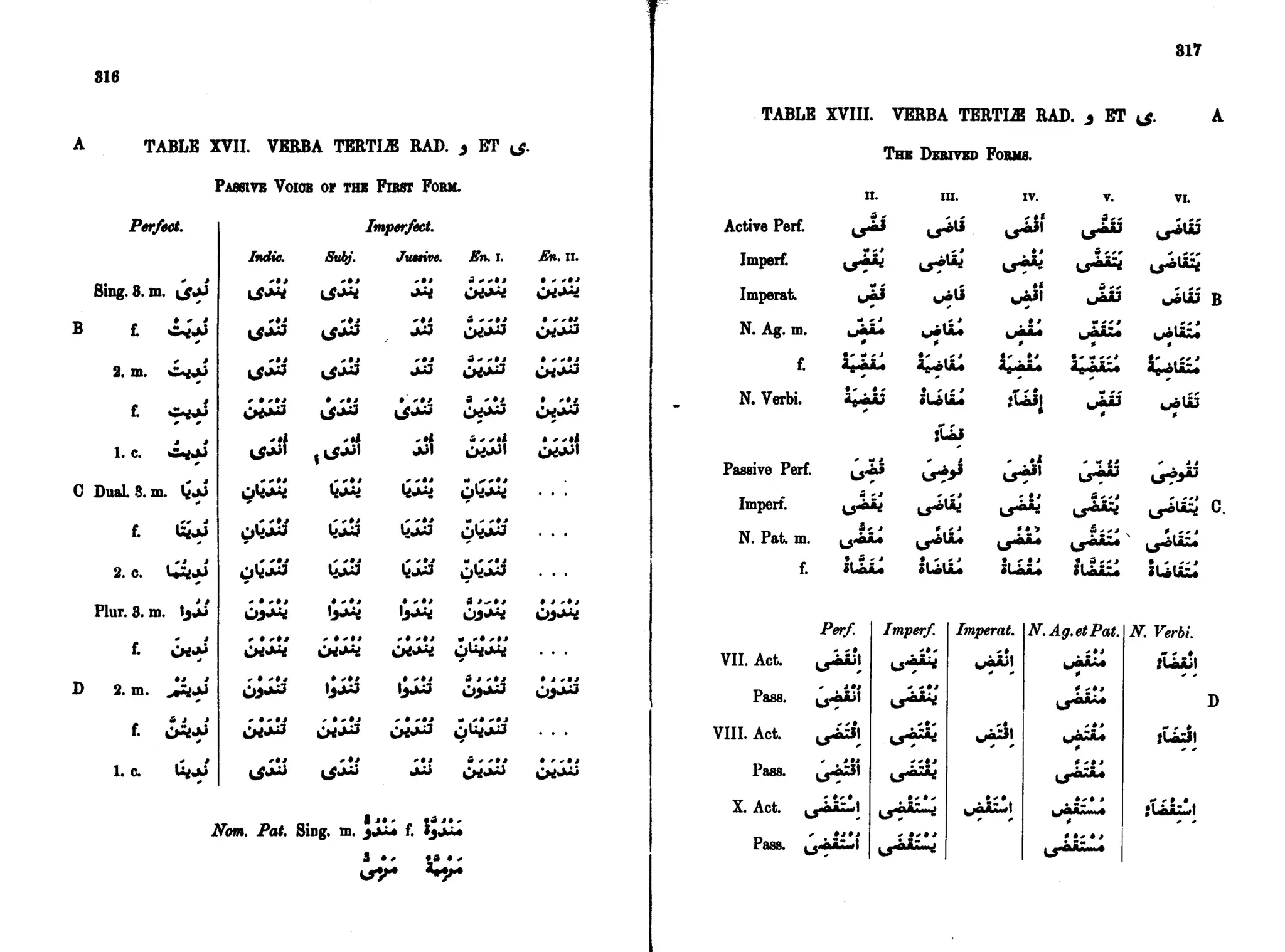 Arabic Syntax 1 Book