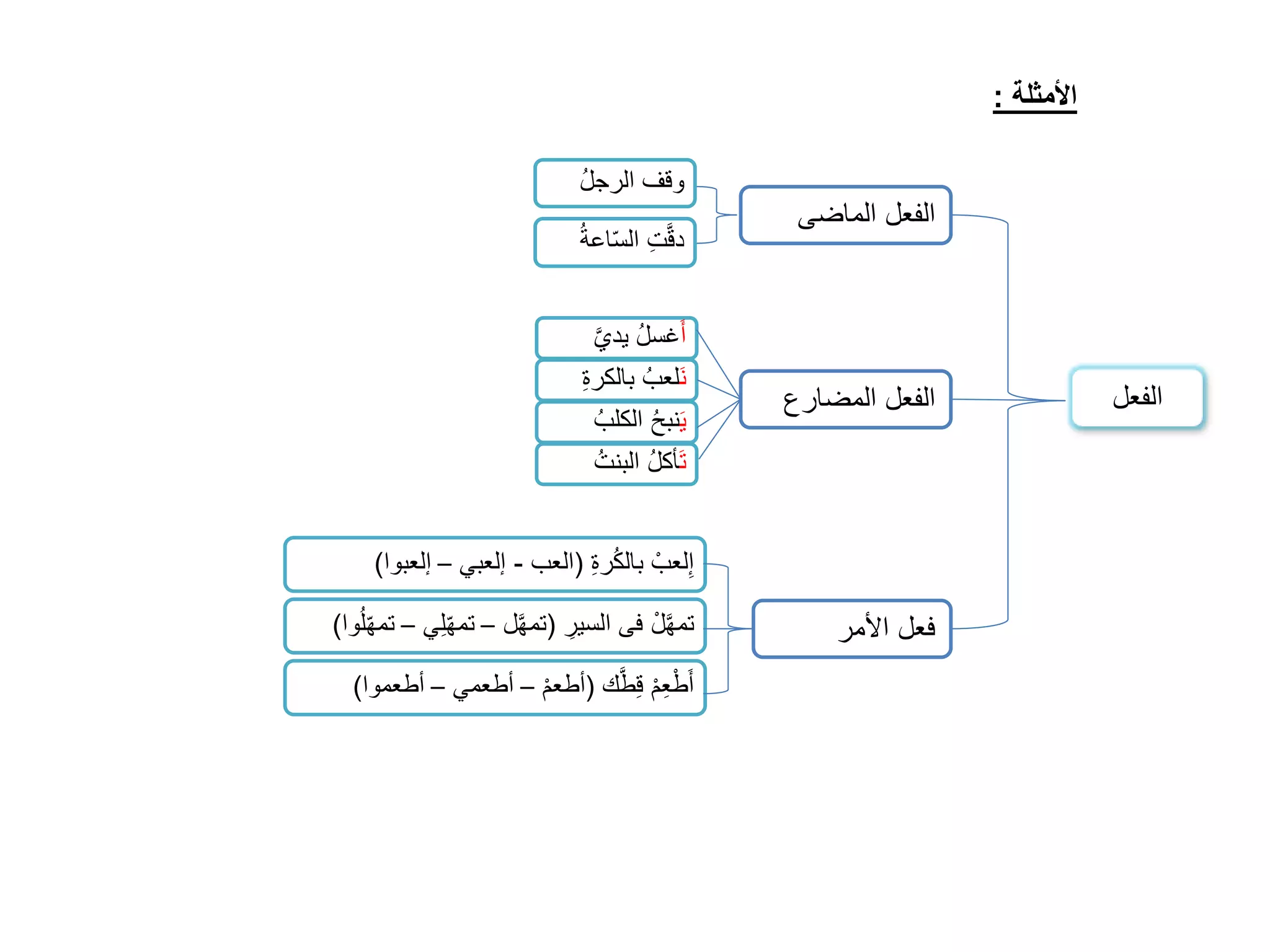 الفعل الماضى 
الفعل المضارع 
فعل الأمر 
وقف الرجلُ 
دقَّ ت الس اعة أَغسلُ يديَّ 
نَلعبُ بالكر ة 
يَنبحُ الكلبُ 
تَأكلُ البنتُ 
الأمثلة : 
إلعبْ بالكُر ة )العب - إلعبي – إلعبوا( 
تمهَّلْ فى السي ر )تمهَّل – تم ه لي – تم هلُوا( 
أَطْ عمْ قطَّك )أطعمْ – أطعمي – أطعموا( 
الفعل 
 