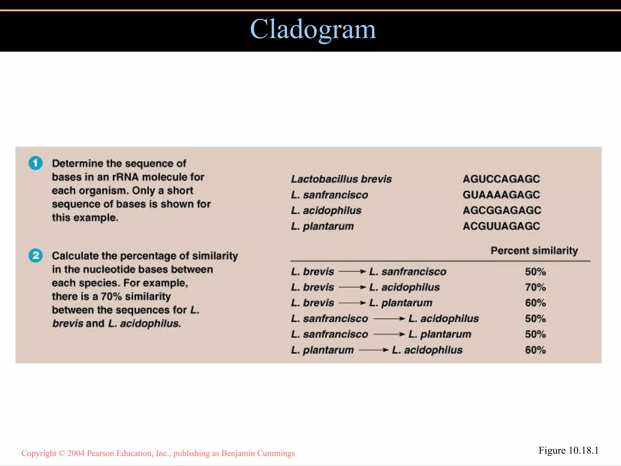 Cladogram Figure 10.18.1 