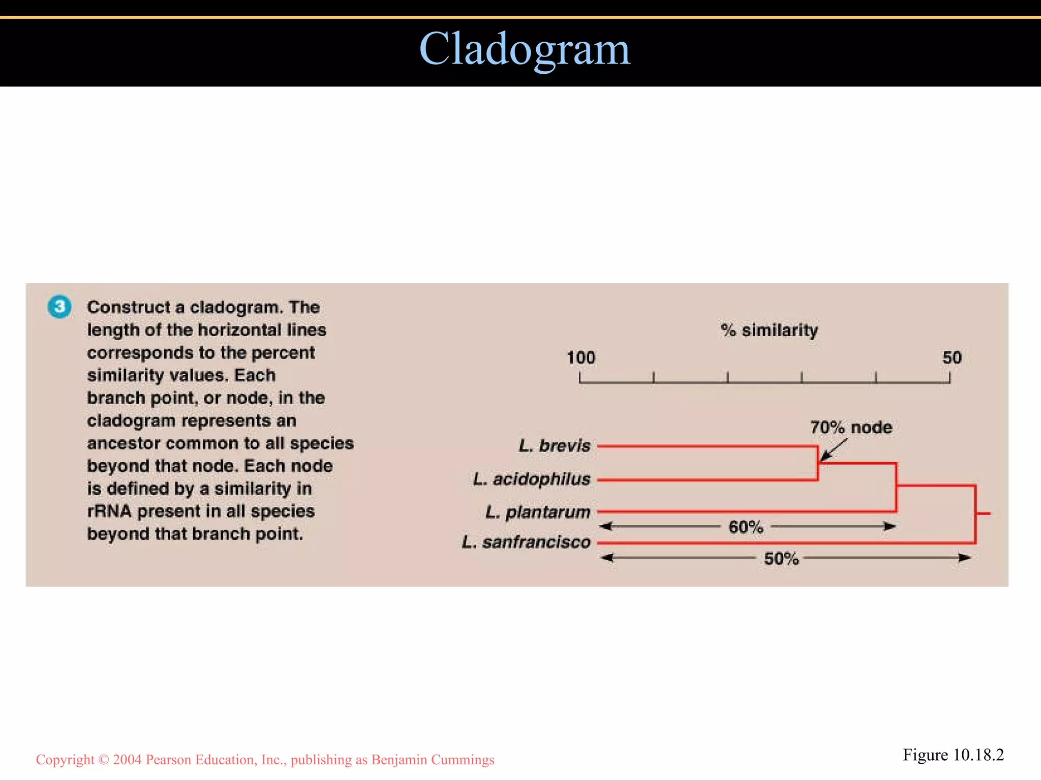 Cladogram Figure 10.18.2 