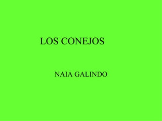 LOS CONEJOS


  NAIA GALINDO
 