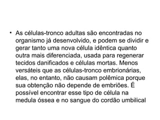 As células-tronco adultas são encontradas no organismo já desenvolvido, e podem se dividir e gerar tanto uma nova célula idêntica quanto outra mais diferenciada, usada para regenerar tecidos danificados e células mortas. Menos versáteis que as células-tronco embrionárias, elas, no entanto, não causam polêmica porque sua obtenção não depende de embriões. É possível encontrar esse tipo de célula na medula óssea e no sangue do cordão umbilical  