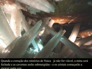 Quando a extração dos minérios de Naica  já não for viável, a mina será fechada e as cavernas serão submergidas - e os cristais começarão a crescer outra vez. 
