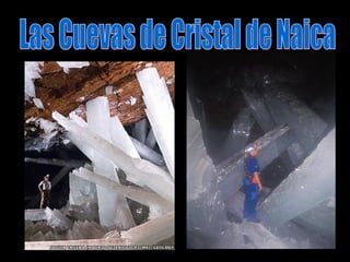 Las Cuevas de Cristal de Naica 
