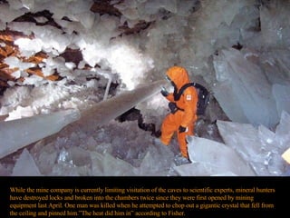 While the mine company is currently limiting visitation of the caves to scientific experts, mineral hunters have destroyed locks and broken into the chambers twice since they were first opened by mining equipment last April. One man was killed when he attempted to chop out a gigantic crystal that fell from the ceiling and pinned him.”The heat did him in” according to Fisher.  
