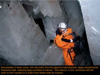 Groundwater in these caves, rich with sulfur from the adjacent metal deposits, began dissolving the limestone walls, releasing large quantities of calcium.  This calcium, in turn, combined with the sulfur to form crystals on a scale never before seen by humans.  