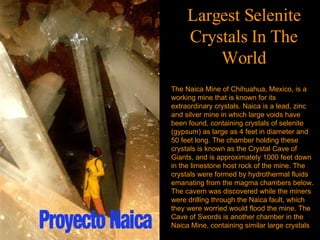 The Naica Mine of Chihuahua, Mexico, is a working mine that is known for its extraordinary crystals. Naica is a lead, zinc and silver mine in which large voids have been found, containing crystals of selenite (gypsum) as large as 4 feet in diameter and 50 feet long. The chamber holding these crystals is known as the Crystal Cave of Giants, and is approximately 1000 feet down in the limestone host rock of the mine. The crystals were formed by hydrothermal fluids emanating from the magma chambers below. The cavern was discovered while the miners were drilling through the Naica fault, which they were worried would flood the mine. The Cave of Swords is another chamber in the Naica Mine, containing similar large crystals .  Largest Selenite Crystals In The World 