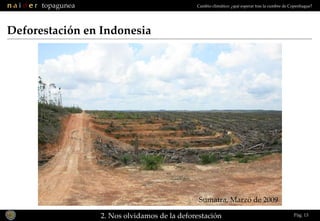 Deforestación en Indonesia Sumatra, Marzo de 2009 2. Nos olvidamos de la deforestación Pág.  