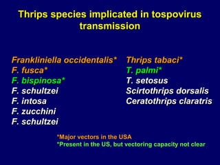 Thrips species implicated in tospovirus
              transmission


Frankliniella occidentalis*        Thrips tabaci*
F. fusca*                          T. palmi*
F. bispinosa*                      T. setosus
F. schultzei                       Scirtothrips dorsalis
F. intosa                          Ceratothrips claratris
F. zucchini
F. schultzei
           *Major vectors in the USA
           *Present in the US, but vectoring capacity not clear
 