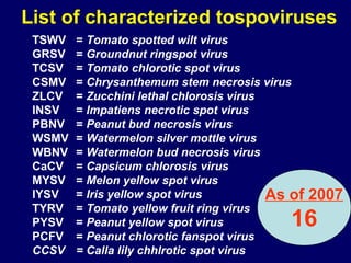 List of characterized tospoviruses
 TSWV   = Tomato spotted wilt virus
 GRSV   = Groundnut ringspot virus
 TCSV   = Tomato chlorotic spot virus
 CSMV   = Chrysanthemum stem necrosis virus
 ZLCV   = Zucchini lethal chlorosis virus
 INSV   = Impatiens necrotic spot virus
 PBNV   = Peanut bud necrosis virus
 WSMV   = Watermelon silver mottle virus
 WBNV   = Watermelon bud necrosis virus
 CaCV   = Capsicum chlorosis virus
 MYSV   = Melon yellow spot virus
 IYSV   = Iris yellow spot virus          As of   2007
 TYRV   = Tomato yellow fruit ring virus
 PYSV   = Peanut yellow spot virus          16
 PCFV   = Peanut chlorotic fanspot virus
 CCSV   = Calla lily chhlrotic spot virus
 