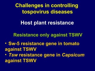 Challenges in controlling
      tospovirus diseases

      Host plant resistance

   Resistance only against TSWV
• Sw-5 resistance gene in tomato
against TSWV
• Tsw resistance gene in Capsicum
against TSWV
 