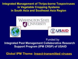 Integrated Management of Thrips-borne Tospoviruses
           in Vegetable Cropping Systems
      in South Asia and Southeast Asia Region




                              Funded by
 Integrated Pest Management Collaborative Research
        Support Program (IPM CRSP) of USAID

  Global IPM Theme: Insect-transmitted viruses
 