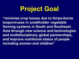 Project Goal
“minimize crop losses due to thrips-borne
tospoviruses in smallholder vegetable
farming systems in South and Southeast
Asia through new science and technologies
and multidisciplinary global partnerships,
and improve nutritional status of people
including women and children”
 