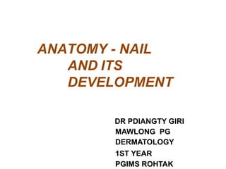 ANATOMY - NAIL
AND ITS
DEVELOPMENT
DR PDIANGTY GIRI
MAWLONG PG
DERMATOLOGY
1ST YEAR
PGIMS ROHTAK
 