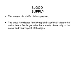 BLOOD
SUPPLY
• The venous blood efflux is less precise.
• The blood is collected into a deep and superficial system that
drains into a few larger veins that run subcutaneously on the
dorsal and volar aspect of the digits.
 