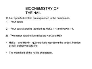 BIOCHEMISTRY OF
THE NAIL
10 hair specific keratins are expressed in the human nail-
1) Four acidic
2) Four basic keratins labelled as HaKa 1-4 and HaKb 1-4.
3) Two minor keratins identified as HaX and HbX
• HaKa 1 and HaKb 1 quantitatively represent the largest fraction
of nail trichocyte keratins
• The main lipid of the nail is cholesterol.
 