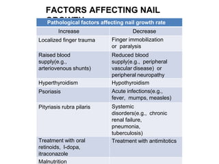 FACTORS AFFECTING NAIL
GROWTH
Pathological factors affecting nail growth rate
Increase Decrease
Localized finger trauma Finger immobilization
or paralysis
Raised blood
supply(e.g.,
arteriovenous shunts)
Reduced blood
supply(e.g., peripheral
vascular disease) or
peripheral neuropathy
Hyperthyroidism Hypothyroidism
Psoriasis Acute infections(e.g.,
fever, mumps, measles)
Pityriasis rubra pilaris Systemic
disorders(e.g., chronic
renal failure,
pneumonia,
tuberculosis)
Treatment with oral
retinoids, l-dopa,
itraconazole
Treatment with antimitotics
Malnutrition
 