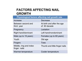 FACTORS AFFECTING NAIL
GROWTH
Physiological factors affecting nail growth rate
Increase Decrease
Between second and
third year
At birth and after the age
of 60 decade
Pregnancy Lactation
Right hand/dominant Left hand/nondominant
Male (up to 19 years) Females (up to 69 years)
Youth Old age
Fingers Toes
Middle, ring and index
finger nails
Thumb and little finger nails
Warmer temperature Cooler temperature
 