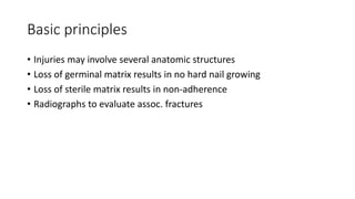 Basic principles
• Injuries may involve several anatomic structures
• Loss of germinal matrix results in no hard nail growing
• Loss of sterile matrix results in non-adherence
• Radiographs to evaluate assoc. fractures
 