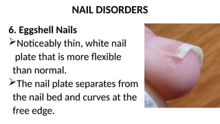 Beauty Care and Nail Arts: Tools and Materials | PPTX