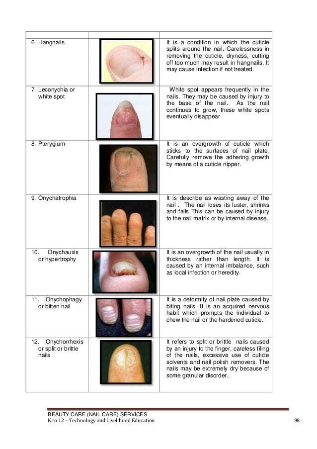 Nail Care Learning Module K12