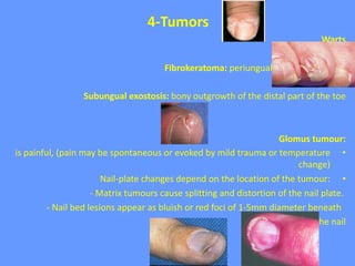4-Tumors
Warts
Fibrokeratoma: periungual hyperkeratotic tip
Subungual exostosis: bony outgrowth of the distal part of the toe
Glomus tumour:
•is painful, (pain may be spontaneous or evoked by mild trauma or temperature
change)
•Nail-plate changes depend on the location of the tumour:
- Matrix tumours cause splitting and distortion of the nail plate.
- Nail bed lesions appear as bluish or red foci of 1-5mm diameter beneath
the nail
 