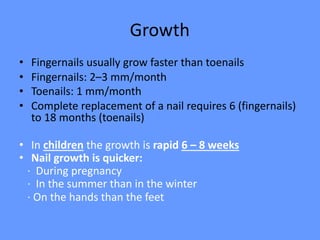 Growth
• Fingernails usually grow faster than toenails
• Fingernails: 2–3 mm/month
• Toenails: 1 mm/month
• Complete replacement of a nail requires 6 (fingernails)
to 18 months (toenails)
• In children the growth is rapid 6 – 8 weeks
• Nail growth is quicker:
· During pregnancy
· In the summer than in the winter
· On the hands than the feet
 