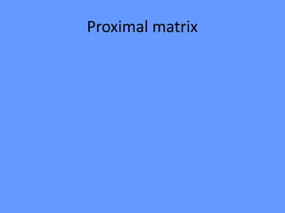 Proximal matrix
 