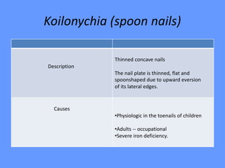 Koilonychia (spoon nails)
Thinned concave nails
The nail plate is thinned, flat and
spoonshaped due to upward eversion
of its lateral edges.
Description
•Physiologic in the toenails of children
•Adults -- occupational
•Severe iron deficiency.
Causes
 