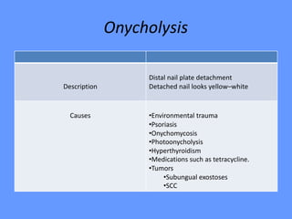 Onycholysis
Distal nail plate detachment
Detached nail looks yellow–whiteDescription
•Environmental trauma
•Psoriasis
•Onychomycosis
•Photoonycholysis
•Hyperthyroidism
•Medications such as tetracycline.
•Tumors
•Subungual exostoses
•SCC
Causes
 