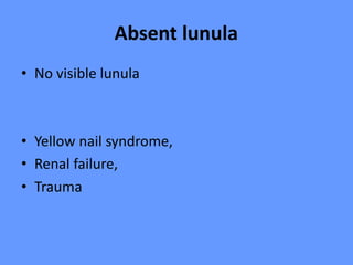 Absent lunula
• No visible lunula
• Yellow nail syndrome,
• Renal failure,
• Trauma
 
